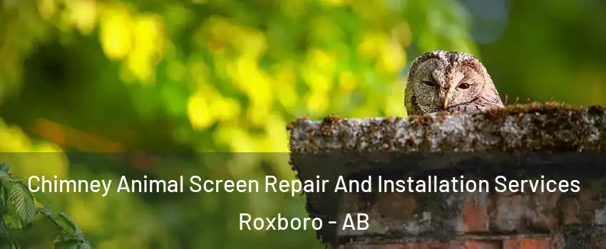  Chimney Animal Screen Repair And Installation Services Roxboro - AB