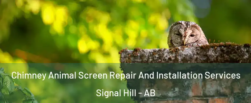  Chimney Animal Screen Repair And Installation Services Signal Hill - AB
