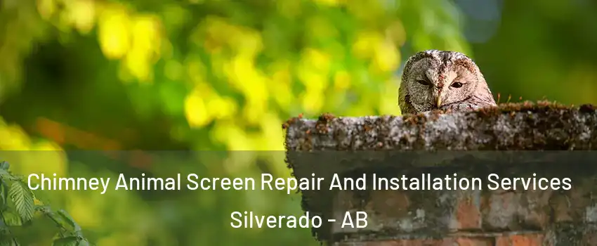  Chimney Animal Screen Repair And Installation Services Silverado - AB