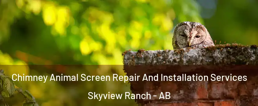  Chimney Animal Screen Repair And Installation Services Skyview Ranch - AB