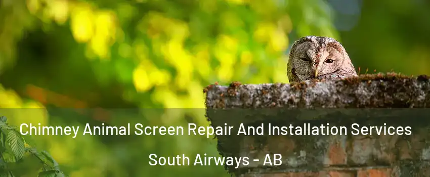  Chimney Animal Screen Repair And Installation Services South Airways - AB