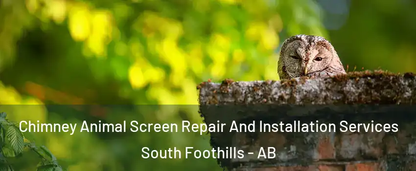  Chimney Animal Screen Repair And Installation Services South Foothills - AB