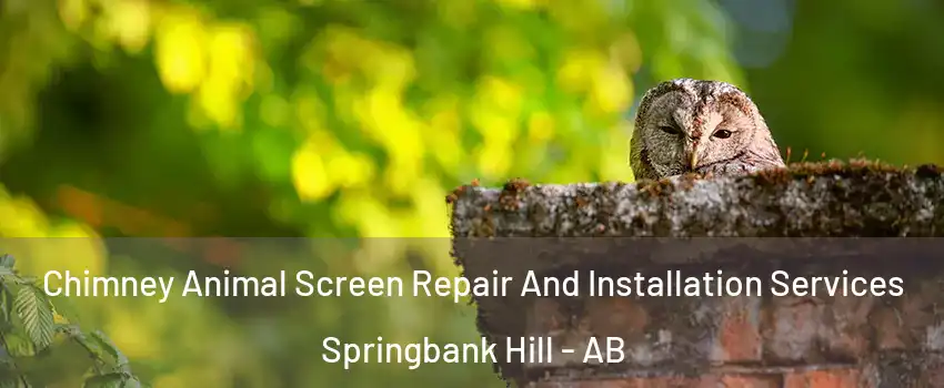  Chimney Animal Screen Repair And Installation Services Springbank Hill - AB