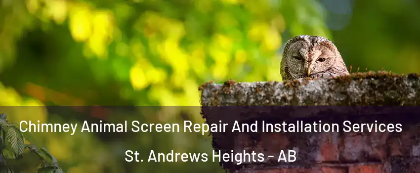  Chimney Animal Screen Repair And Installation Services St. Andrews Heights - AB