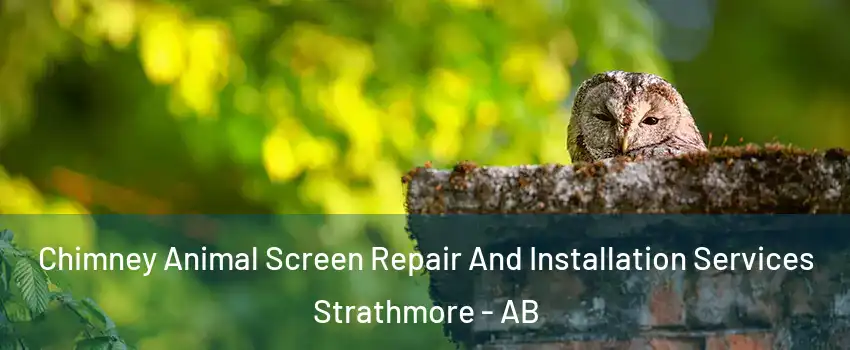  Chimney Animal Screen Repair And Installation Services Strathmore - AB