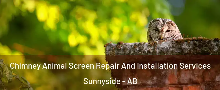  Chimney Animal Screen Repair And Installation Services Sunnyside - AB