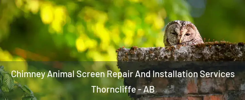  Chimney Animal Screen Repair And Installation Services Thorncliffe - AB