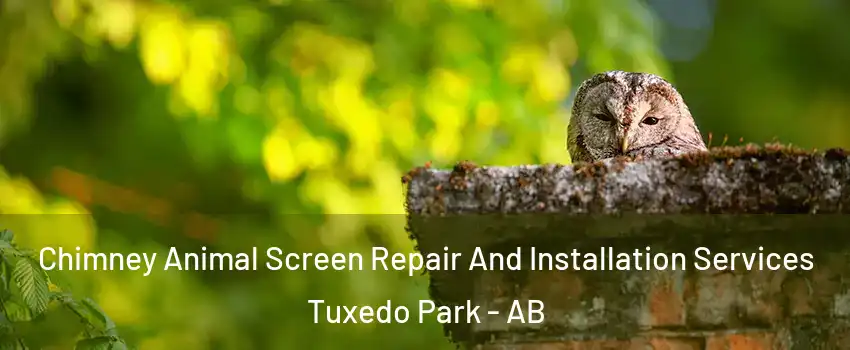  Chimney Animal Screen Repair And Installation Services Tuxedo Park - AB