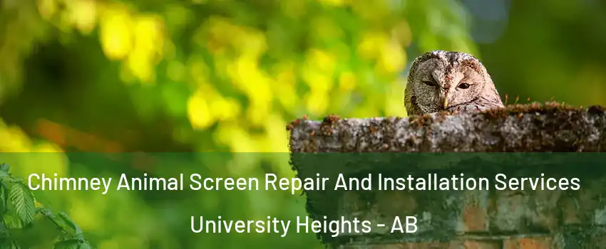  Chimney Animal Screen Repair And Installation Services University Heights - AB