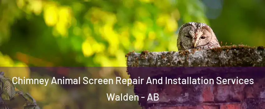  Chimney Animal Screen Repair And Installation Services Walden - AB