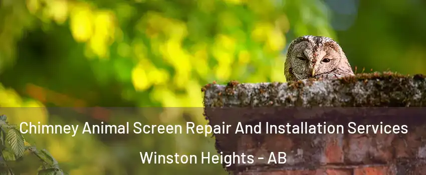  Chimney Animal Screen Repair And Installation Services Winston Heights - AB
