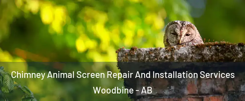  Chimney Animal Screen Repair And Installation Services Woodbine - AB