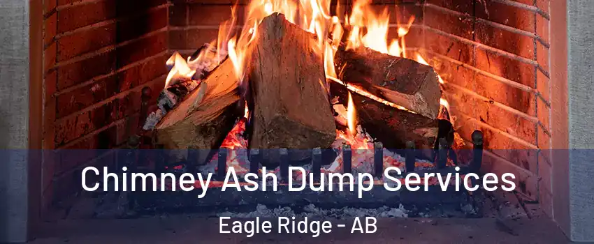  Chimney Ash Dump Services Eagle Ridge - AB
