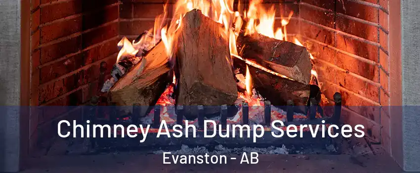  Chimney Ash Dump Services Evanston - AB