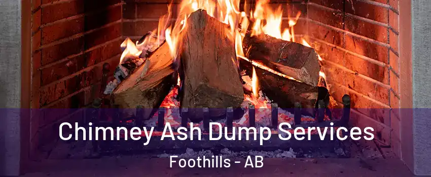 Chimney Ash Dump Services Foothills - AB