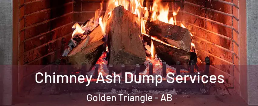  Chimney Ash Dump Services Golden Triangle - AB