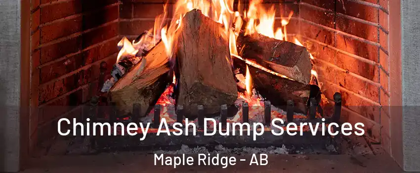  Chimney Ash Dump Services Maple Ridge - AB