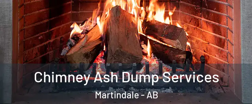  Chimney Ash Dump Services Martindale - AB