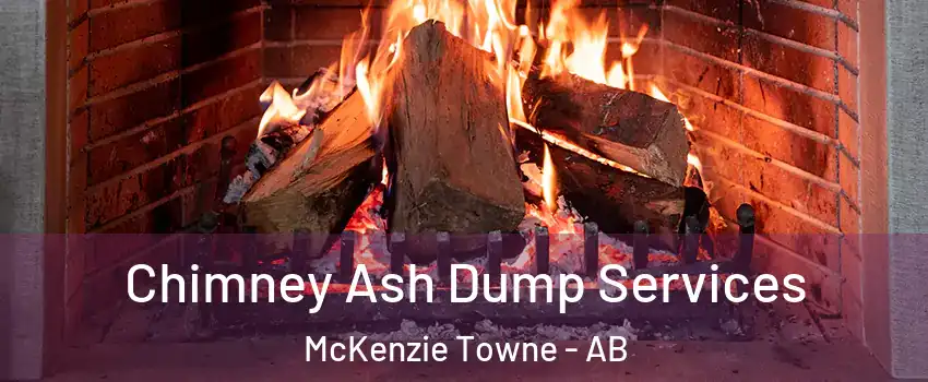  Chimney Ash Dump Services McKenzie Towne - AB