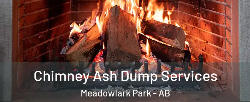  Chimney Ash Dump Services Meadowlark Park - AB