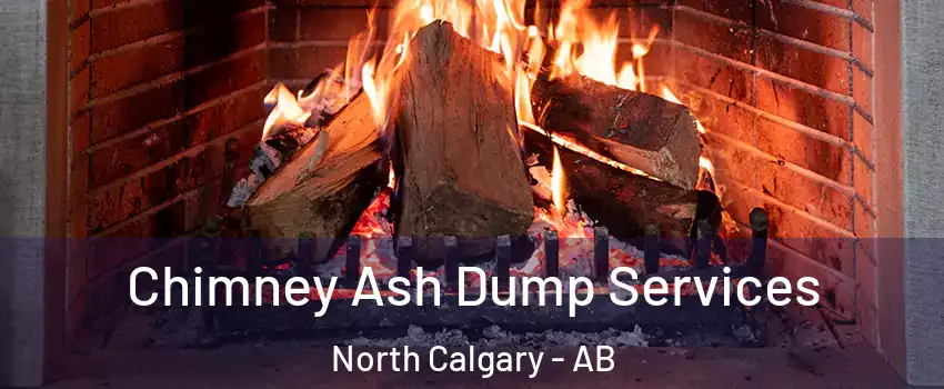  Chimney Ash Dump Services North Calgary - AB