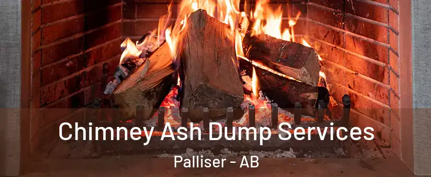  Chimney Ash Dump Services Palliser - AB