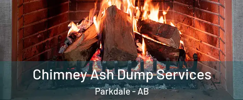  Chimney Ash Dump Services Parkdale - AB
