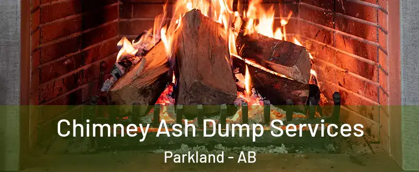  Chimney Ash Dump Services Parkland - AB
