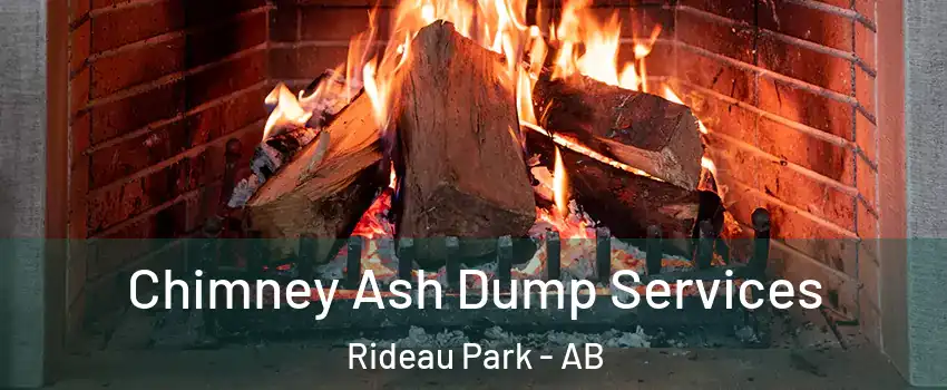  Chimney Ash Dump Services Rideau Park - AB