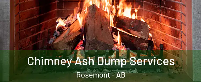  Chimney Ash Dump Services Rosemont - AB
