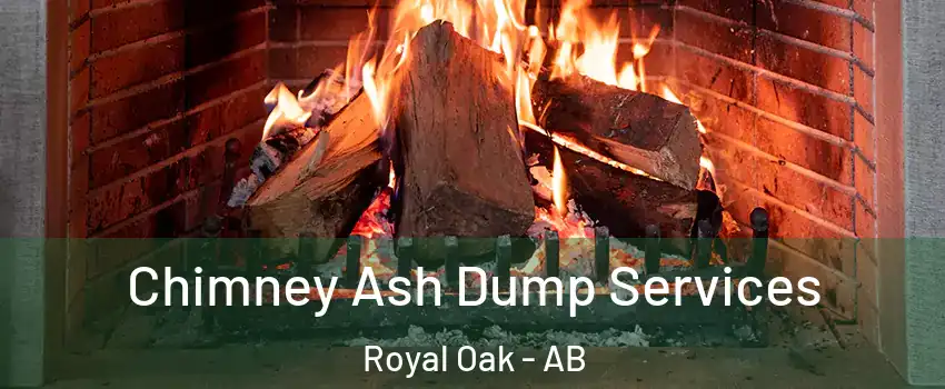  Chimney Ash Dump Services Royal Oak - AB