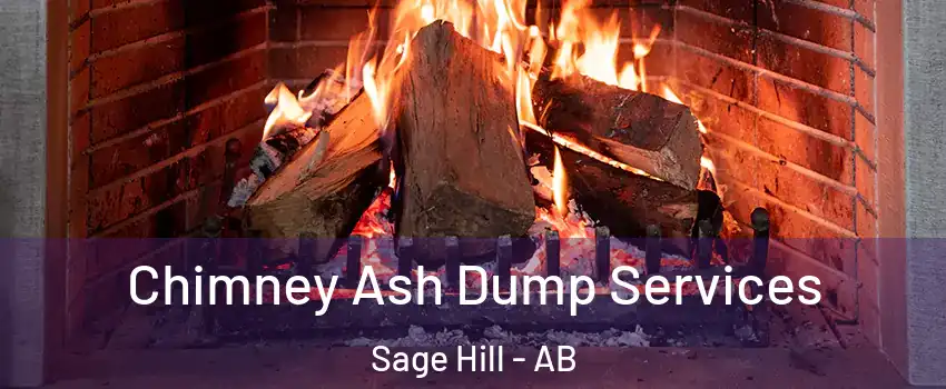  Chimney Ash Dump Services Sage Hill - AB