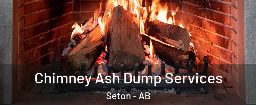  Chimney Ash Dump Services Seton - AB
