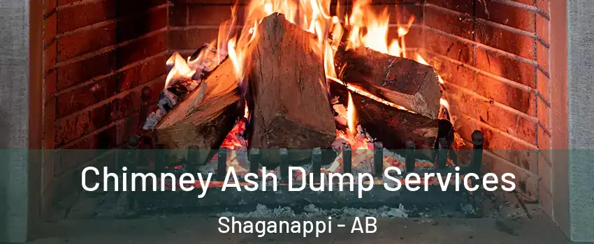  Chimney Ash Dump Services Shaganappi - AB