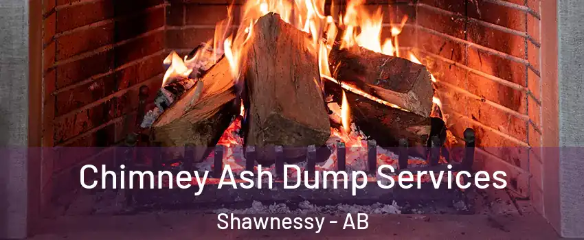  Chimney Ash Dump Services Shawnessy - AB