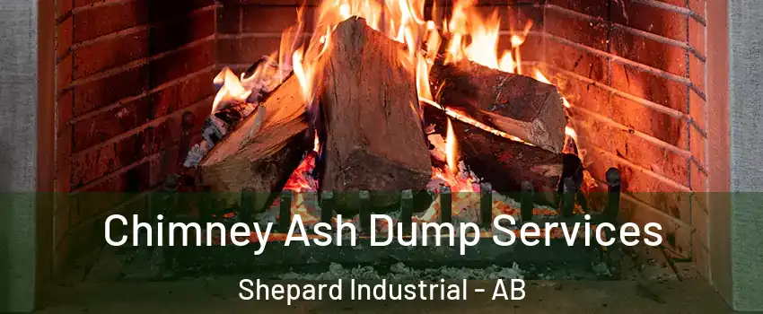  Chimney Ash Dump Services Shepard Industrial - AB