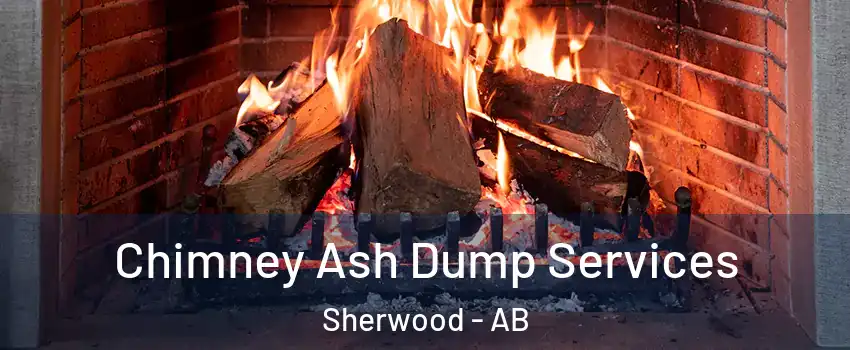  Chimney Ash Dump Services Sherwood - AB