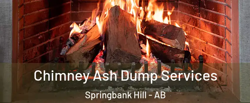  Chimney Ash Dump Services Springbank Hill - AB