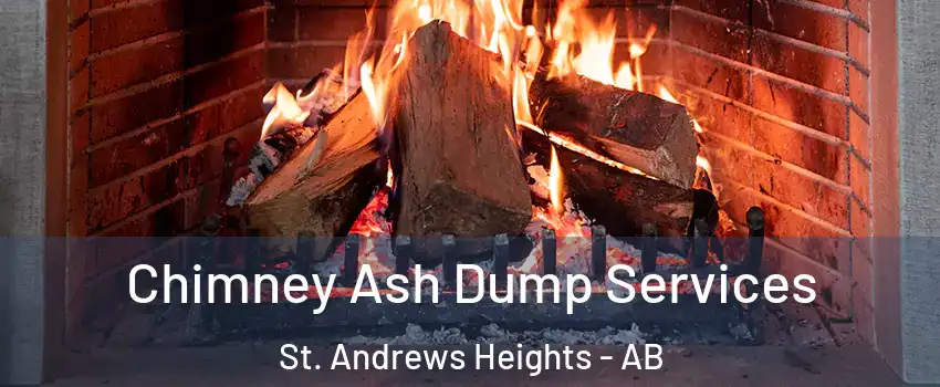 Chimney Ash Dump Services St. Andrews Heights - AB