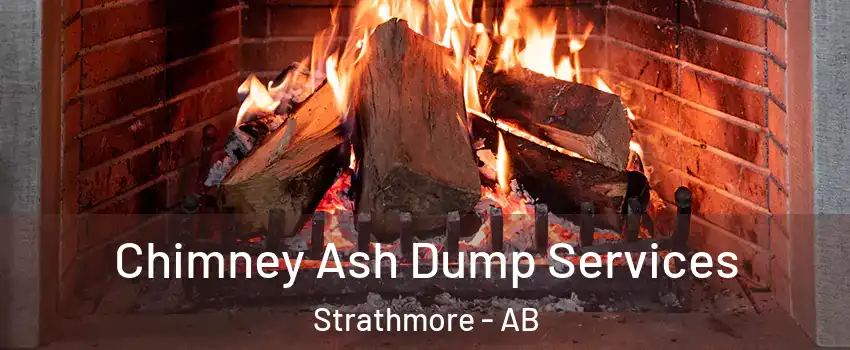  Chimney Ash Dump Services Strathmore - AB