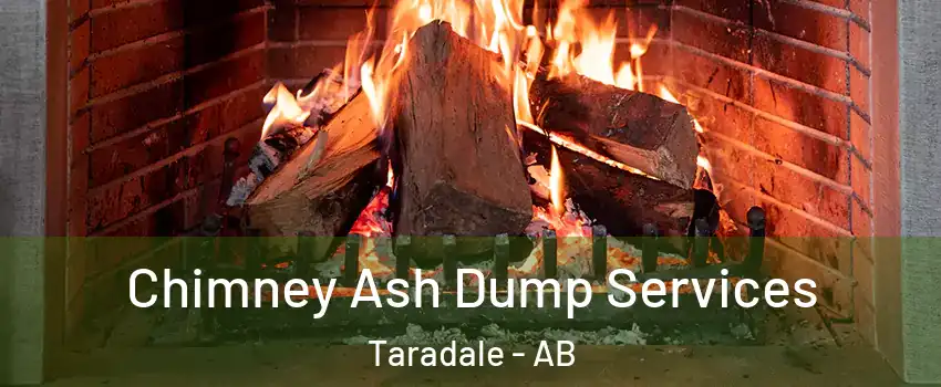  Chimney Ash Dump Services Taradale - AB