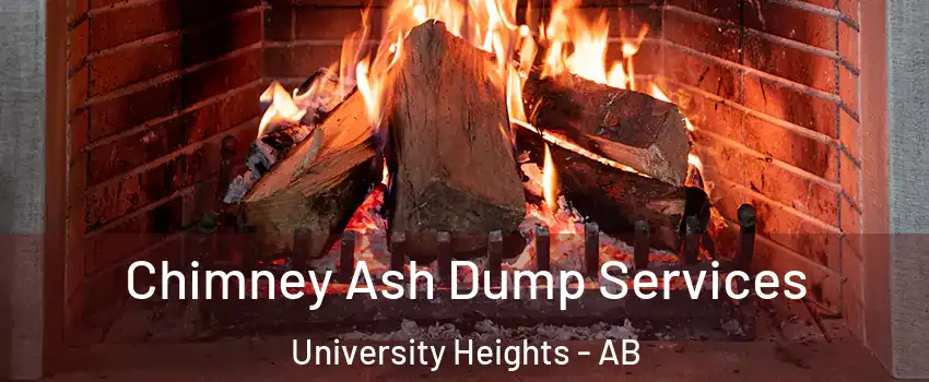  Chimney Ash Dump Services University Heights - AB