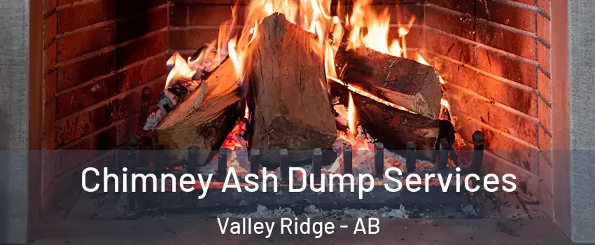  Chimney Ash Dump Services Valley Ridge - AB