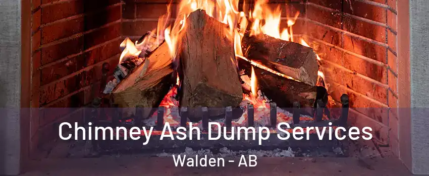  Chimney Ash Dump Services Walden - AB
