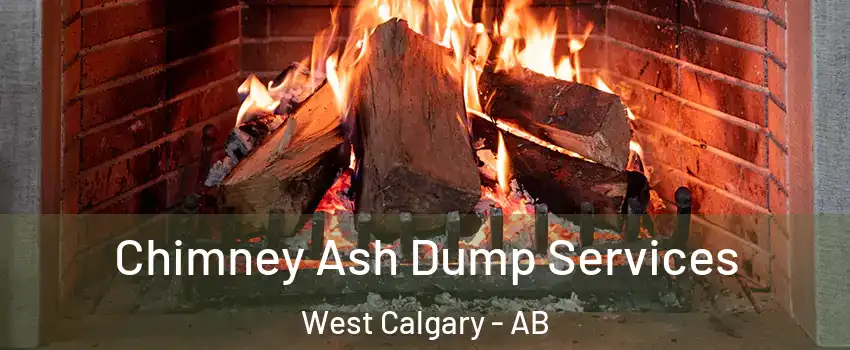  Chimney Ash Dump Services West Calgary - AB