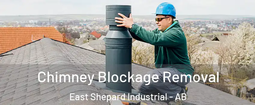  Chimney Blockage Removal East Shepard Industrial - AB