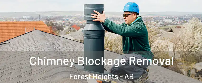  Chimney Blockage Removal Forest Heights - AB
