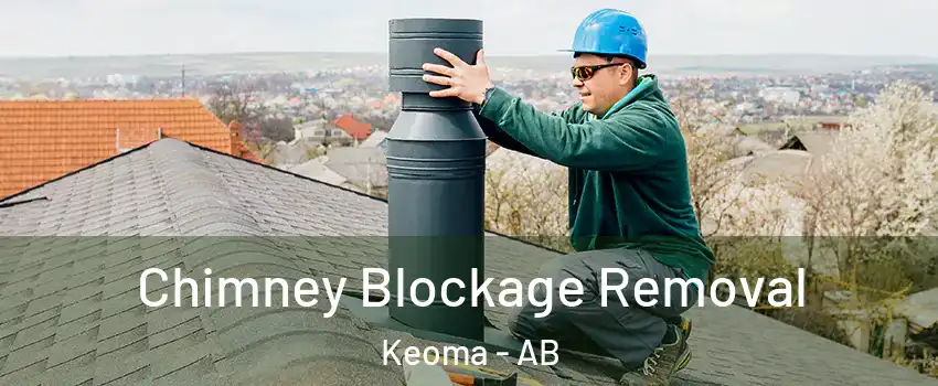  Chimney Blockage Removal Keoma - AB