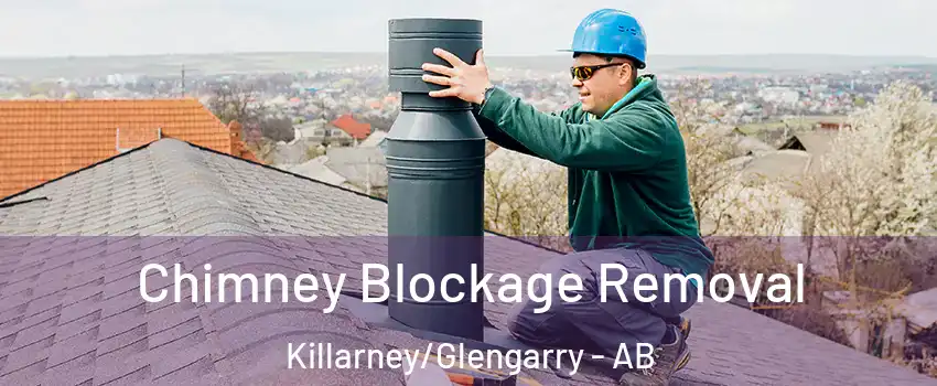  Chimney Blockage Removal Killarney/Glengarry - AB