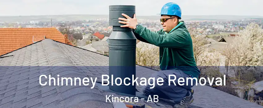  Chimney Blockage Removal Kincora - AB